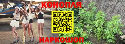 амф Шебекино