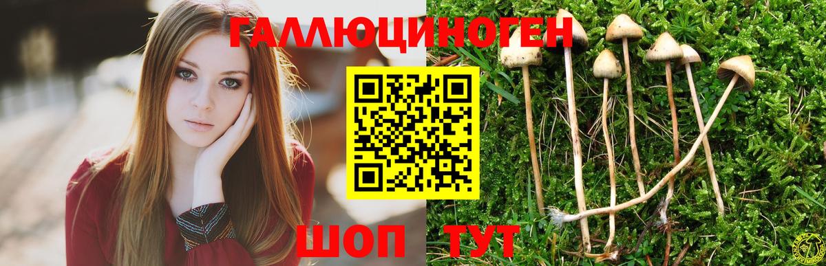 Галлюциногенные грибы ЛСД Конаково
