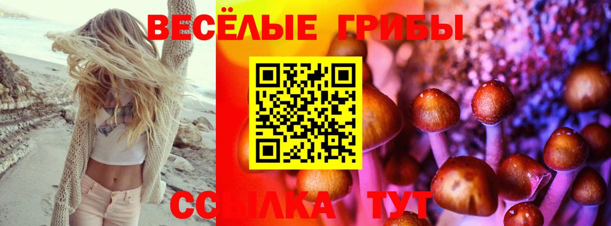 Конаково  Галлюциногенные грибы Magic Shrooms  Вход с VPN 